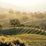 Carmel Valley Village
