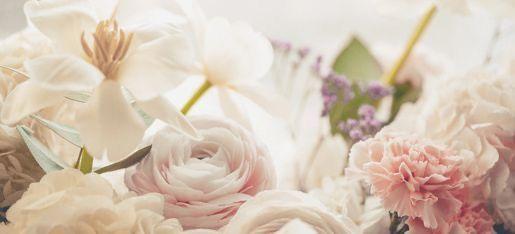 The Wedding Website of Noah John Thoms and Liana Nicole St. John