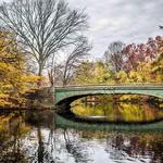 Prospect Park