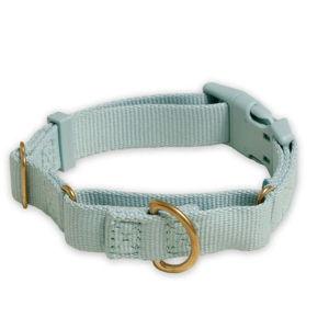 Marty Collar