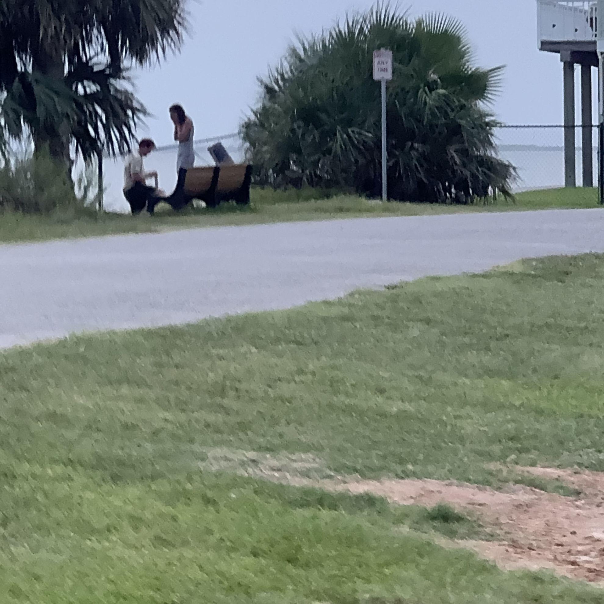 This is when Noah asked Ally to be his wife in Galveston on July 4, 2025.