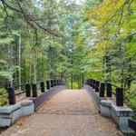 Hiking Trails