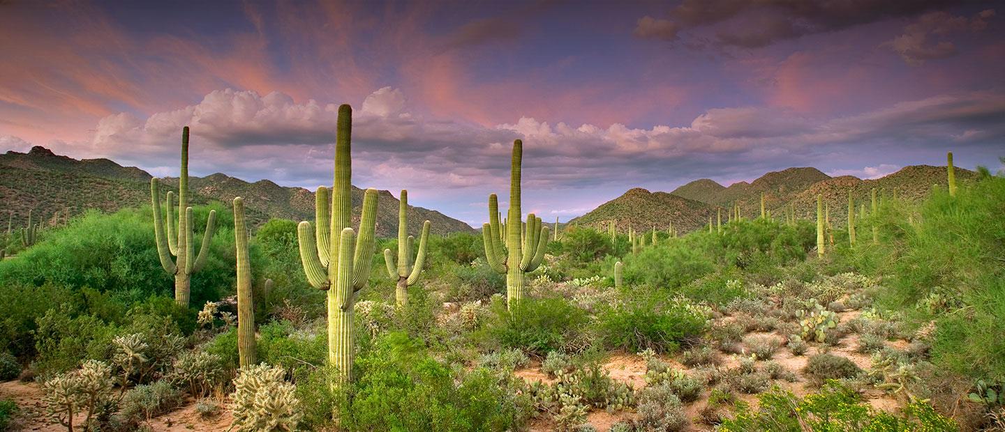 The Wedding Website of Rachael Charles and James Smitt