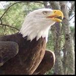 Center for Wildlife Education
