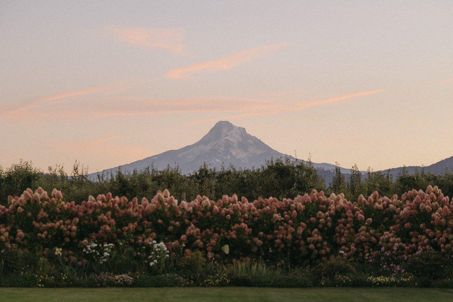 The Wedding Website of Kaitie Clarke and Jesse Hohlt