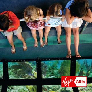 Miami to Key West: Glass Bottom Boat Excursion for 2