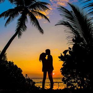 Honeymoon Fund