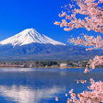 Japan Travel Guide