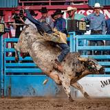 Tucson Rodeo Grounds