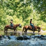 Waterloo State Recreation Area