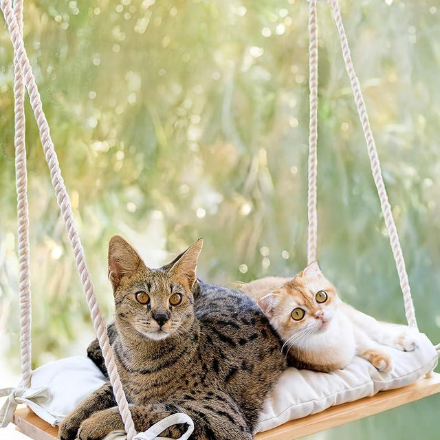 Cat Window Perch for Large Cats - Hammock Bed for Heavy Indoor Cats - Solid Wood Seat, 5 Strong Suction Cups, Soft Cushion - Rustic Shelf for Pets Inside