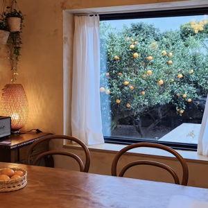 🍊 Jeju Airbnb