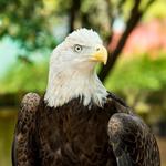 Houston Zoo