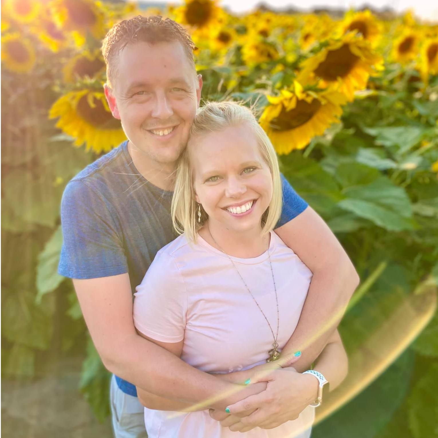 Sunflower field in Sept. 2020