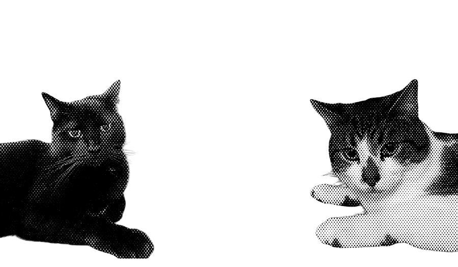 Footer image