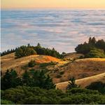 Mount Tamalpais State Park