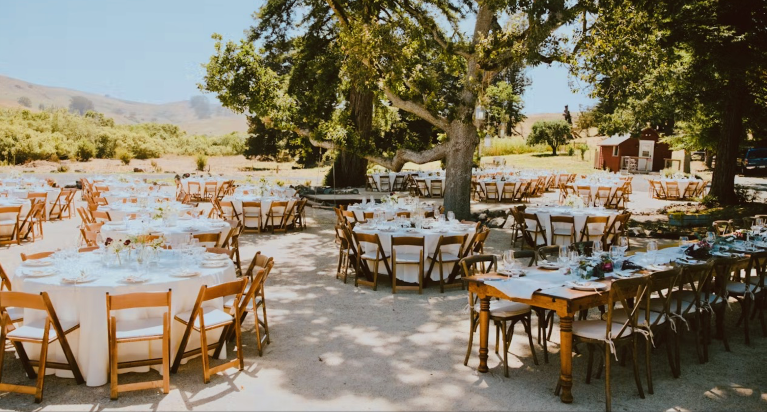 The Wedding Website of Anne Rhodes and Mericos Rhodes
