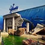 Long Island Aquarium