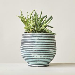 Striped Round Terracotta Planter