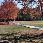 Travis’s Batting Cages & Driving Range