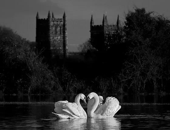 The Wedding Website of Jordan List and Steven Licari