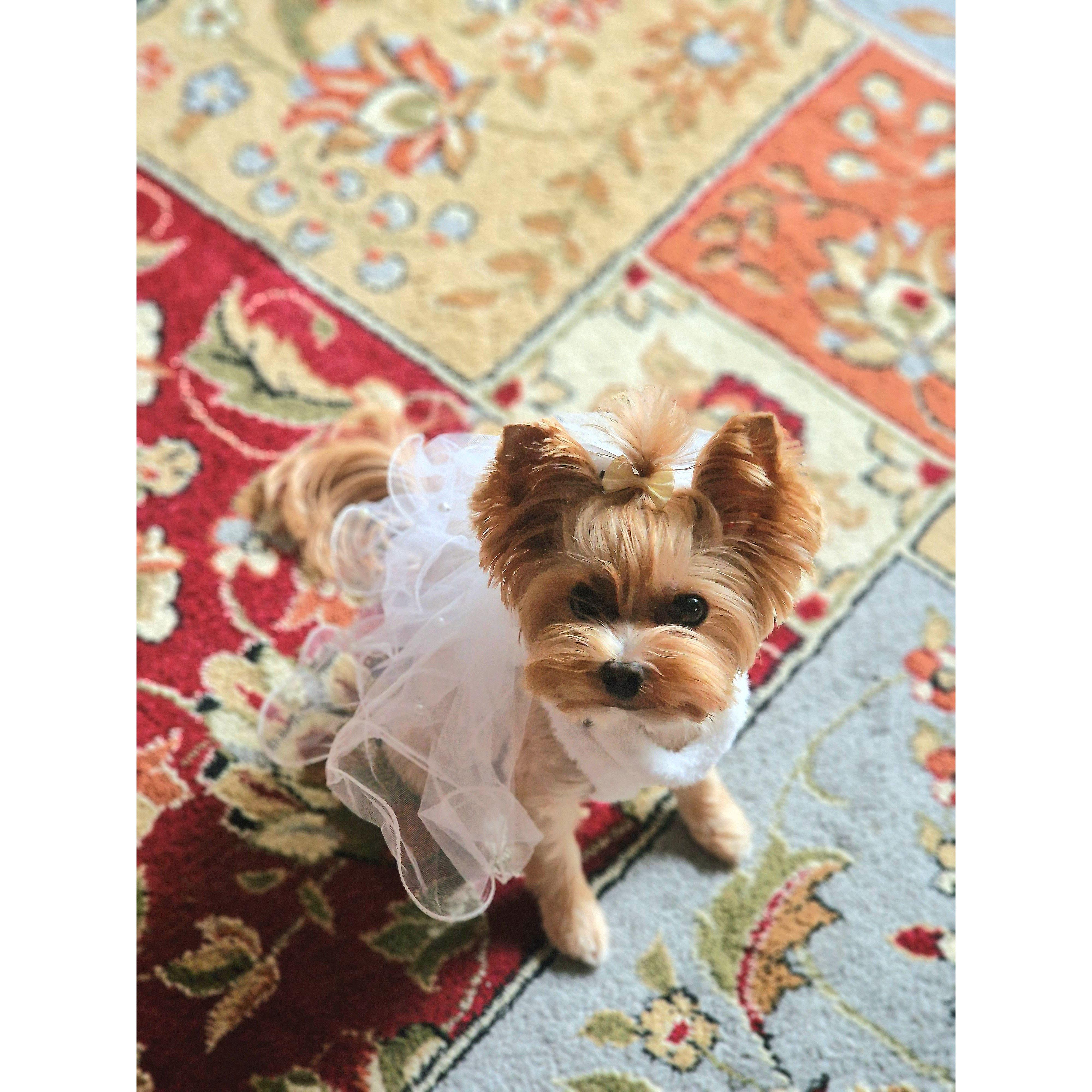 Nancy getting ready for our wedding