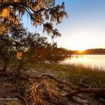 Skidaway Island State Park