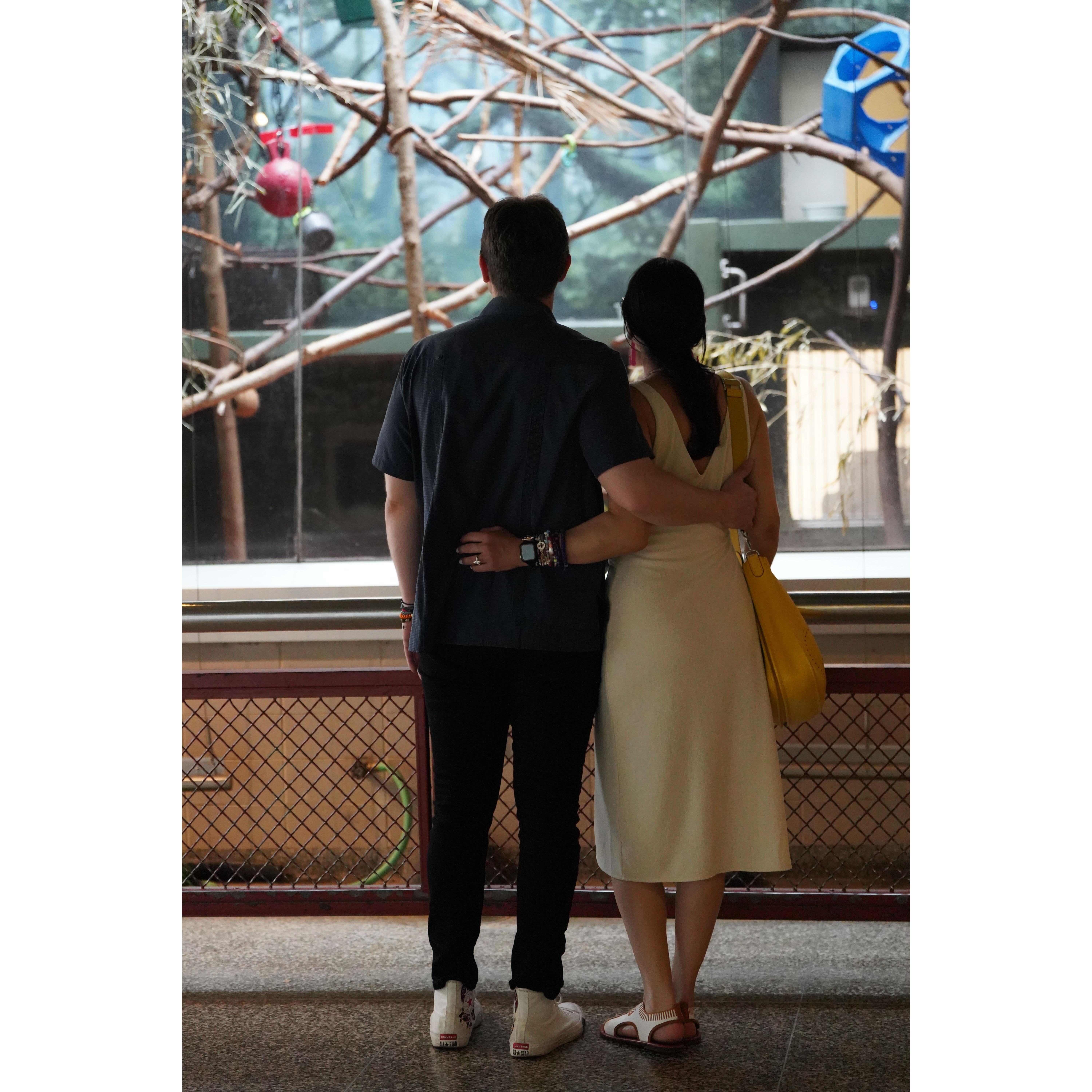 A proposal written in stardust and witnessed by eagles.