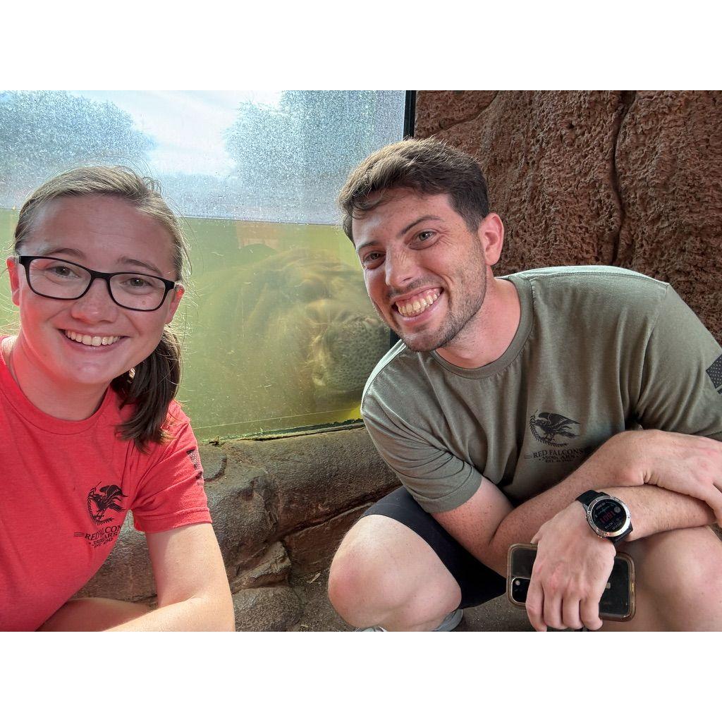 You may not be able to tell but that is a hippo in the gross water.