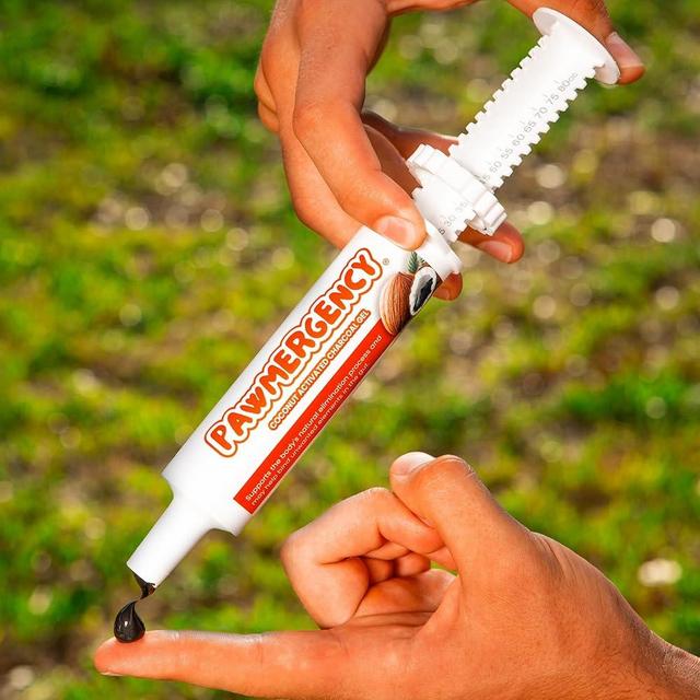 PawMergency – Activated Charcoal First Aid Kit Emergency Rescue for Dogs, Cats, Puppy & Pet Poison Kit, Camping Survival Remedy Essential,Oral Anti Diarrhea Digestive Paste Ready Absorb Toxins (30mL)