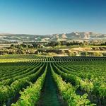 Waipara Valley