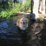 Adam's Gulch trailhead