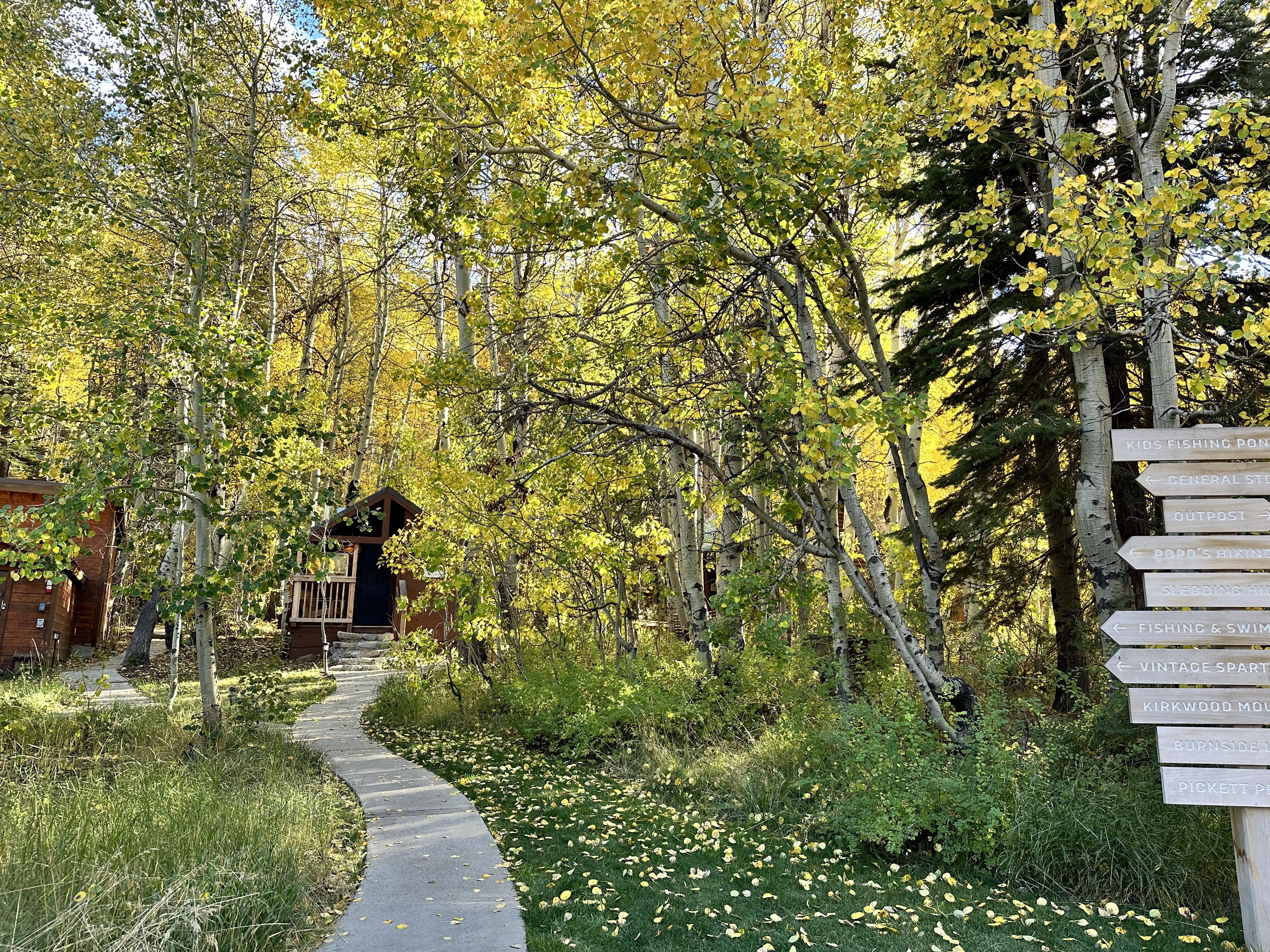 The Wedding Website of Lauren Kalogridis and Derek Head