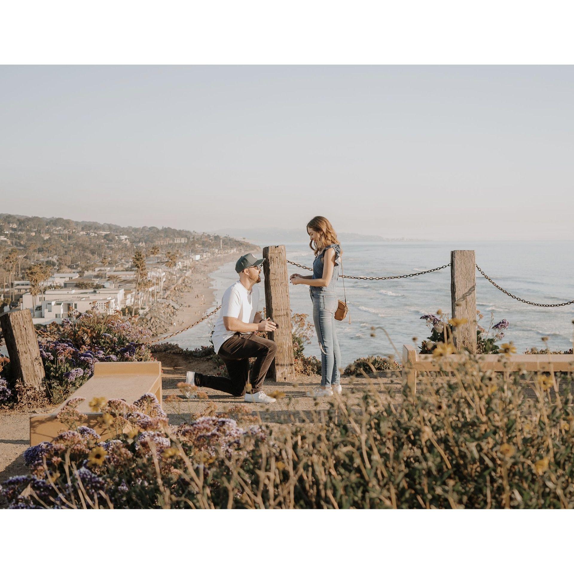 Proposal above Dog Beach