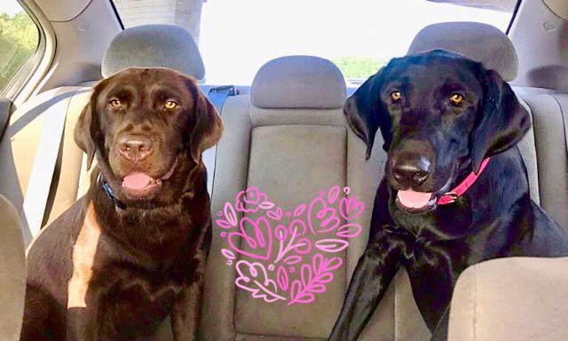 Layla and Ella Spell ❤️