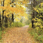 Lime Hollow Nature Center