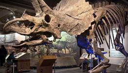 Museum of Science