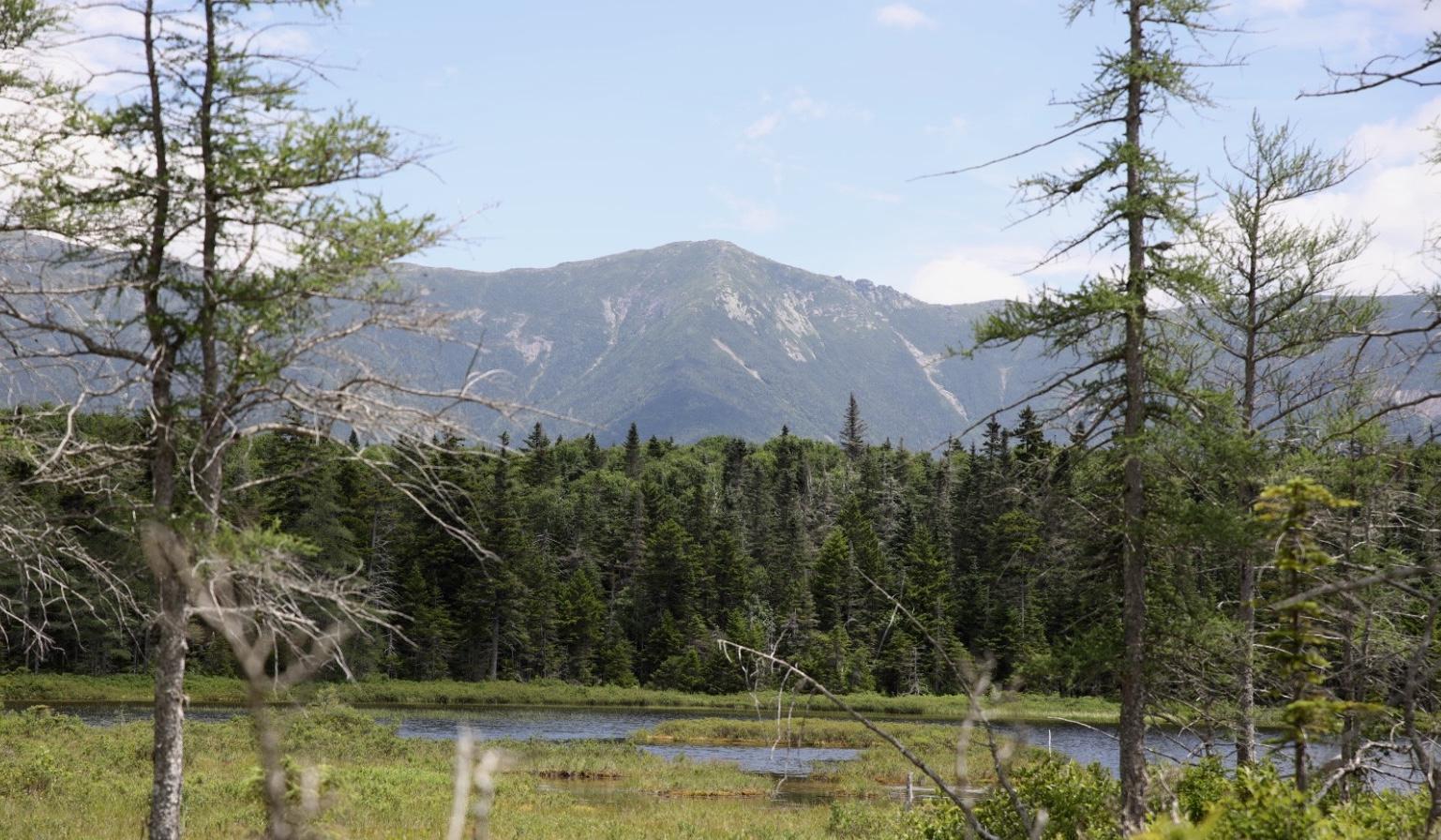 The Wedding Website of Lauren Woodworth and Edward Corkery