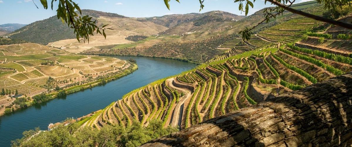 The Wedding Website of Harley Crowhurst and Diogo Ferreira