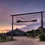 Go Horseback Riding at Deep Hollow Ranch
