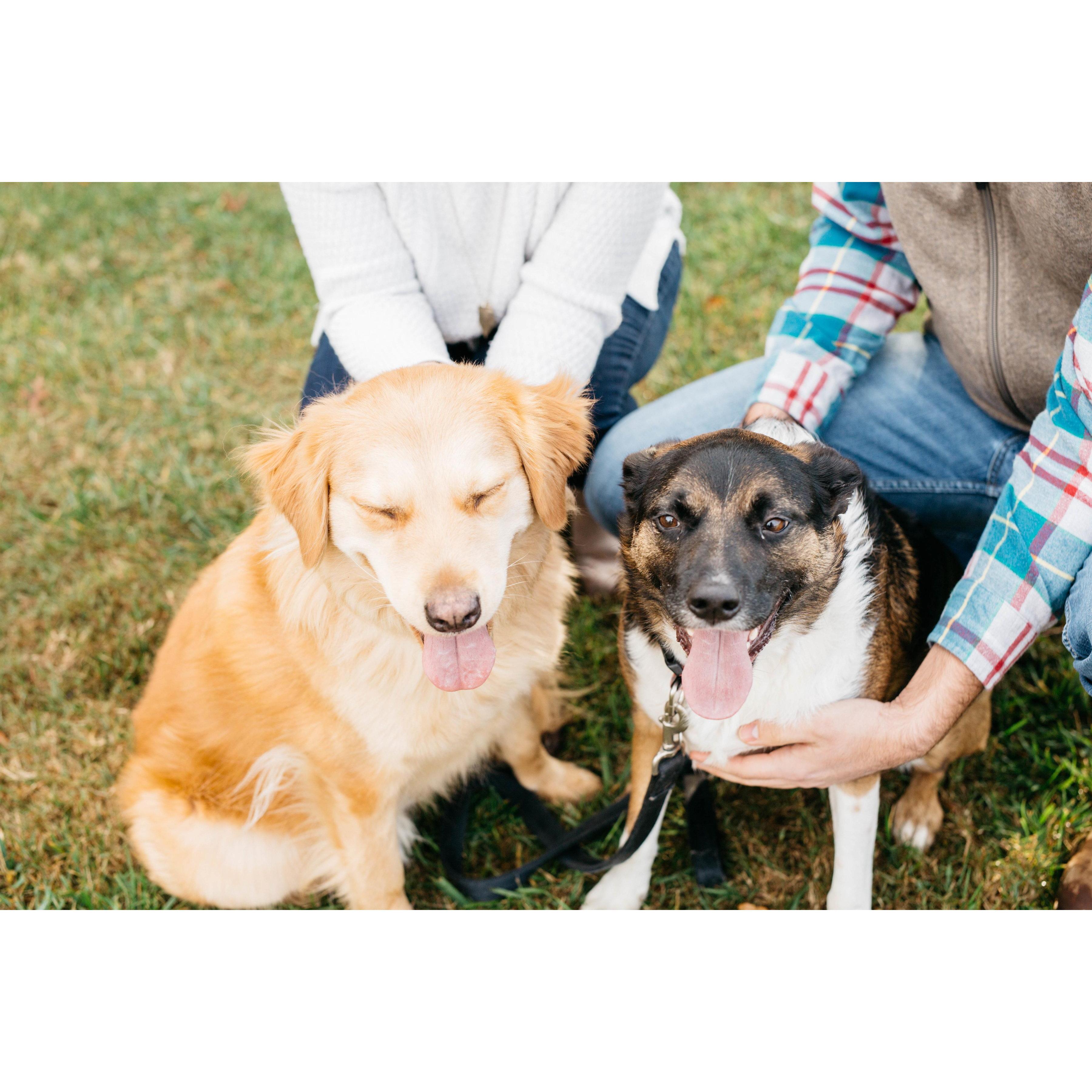 Two goobers (Rachel Elisabeth Photography)
