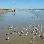 Ogunquit Beach
