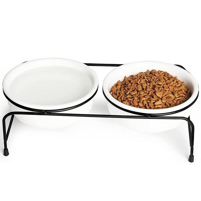 GDCZ Porcelain Raised Cat or Small Dog Bowls with Heighten Metal Stand and Non-Slip Bottom for Pet Food and Water Dishes , 15 Ounces (White)