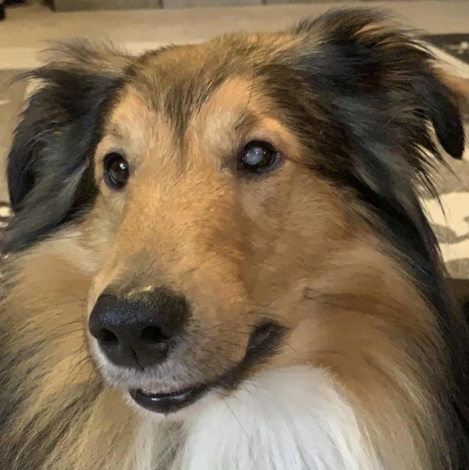 Jango’s headshot