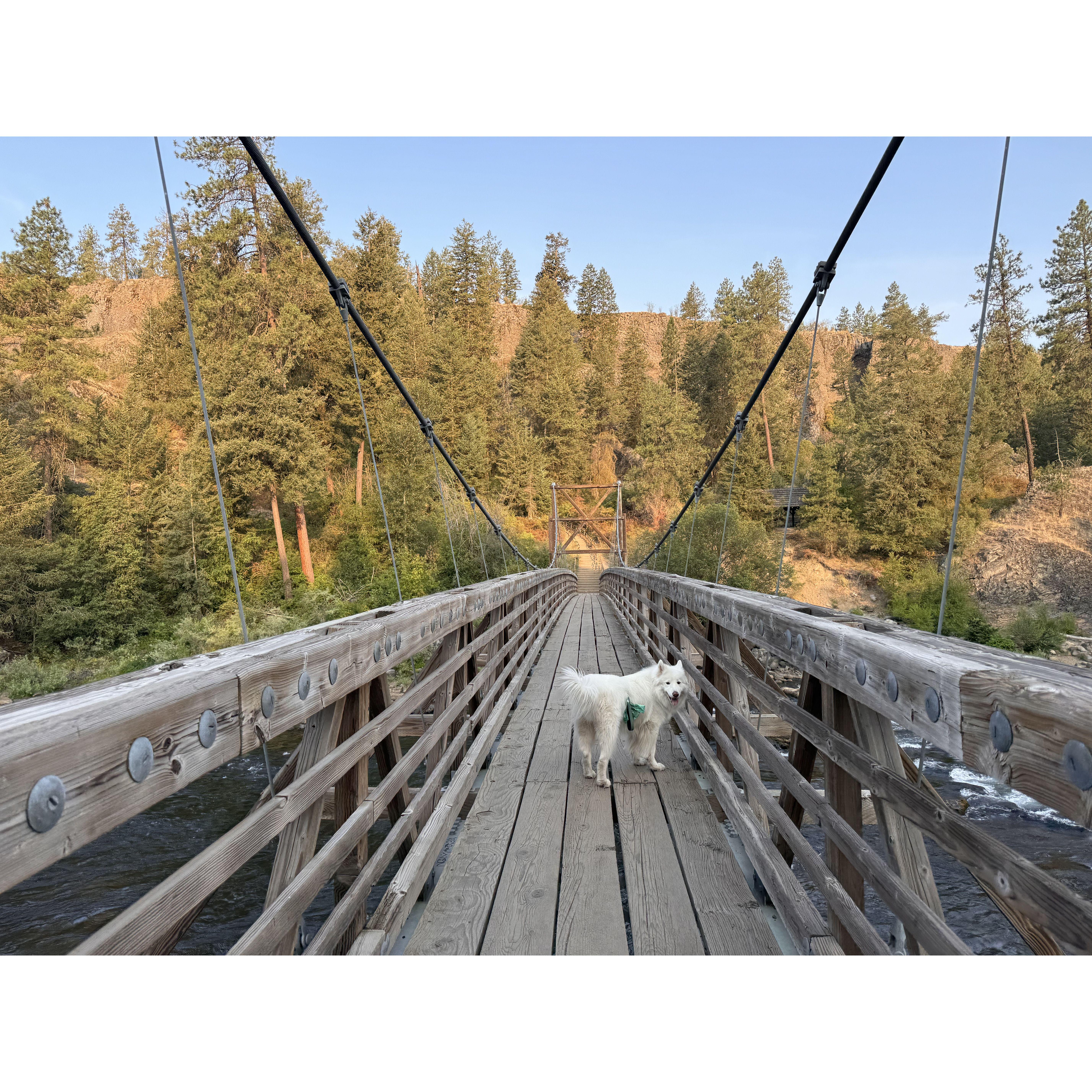 The swinging bridge is an iconic photo spot in Riverside State Park, just steps from where our ceremony will take place.