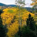 Aspen trail