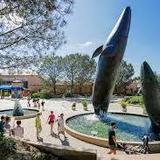Birch Aquarium