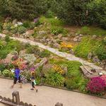 Yampa River Botanic Park