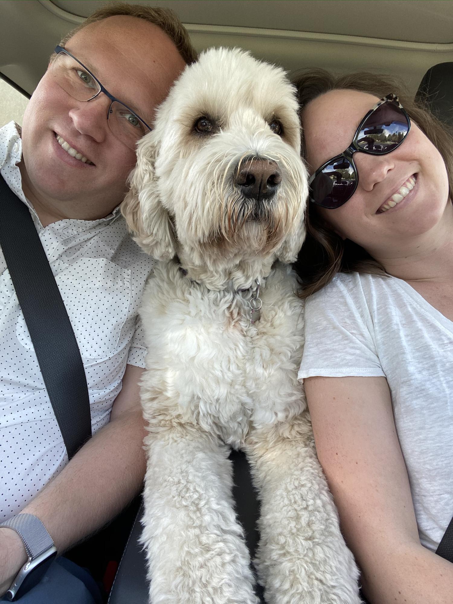 Road trip, Spring 2020