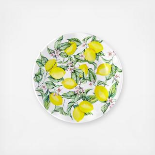 Limonata BPA Free Melamine Salad Plate, Set of 4